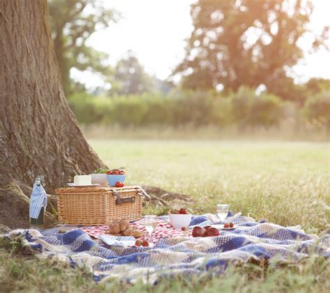 Stylish Picnic Blankets Picnic Accessories Red Online