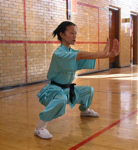 kung fu classes for adults near me olimpia alonzo