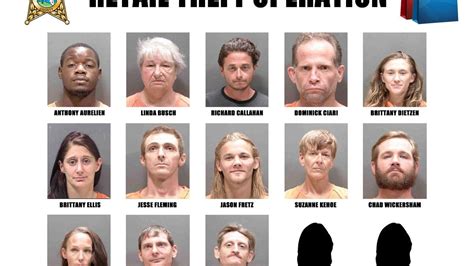 15 People Arrested Accused Of Stealing From Stores In Sarasota County