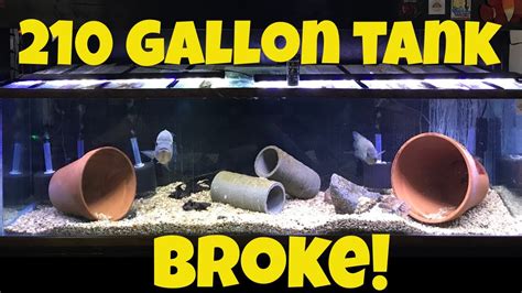 My 210 Gallon Freshwater Aqaurium Broke Disaster Youtube