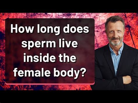 How Long Does Sperm Live Inside The Female Body YouTube