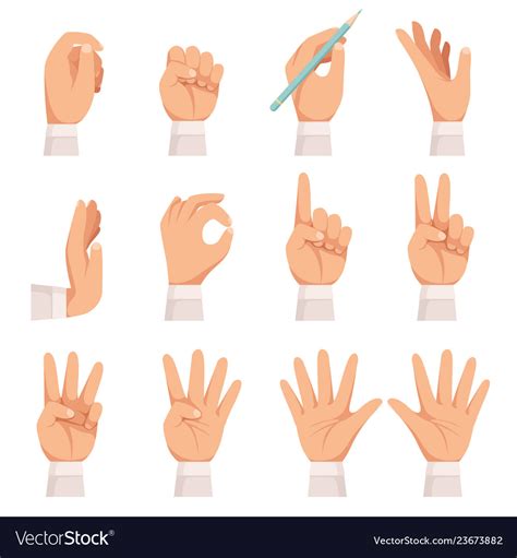 Hands Gesture Human Palm And Fingers Touch Vector Image