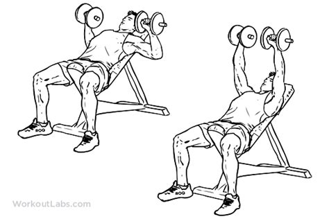 Incline Dumbbell Bench Press Illustrated Exercise Guide Workoutlabs