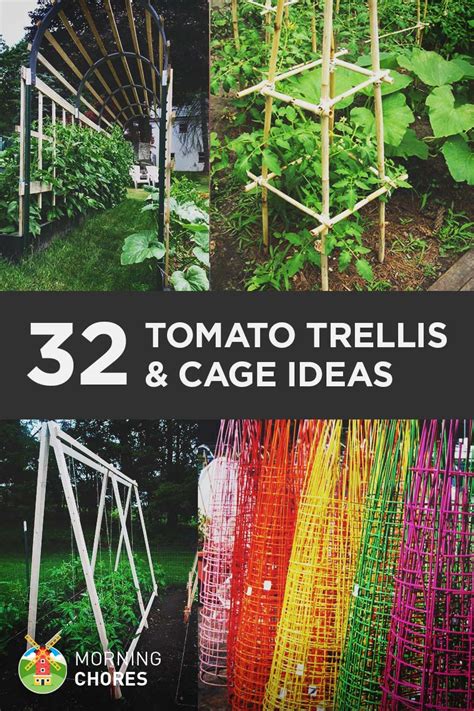 Diy Tomato Trellis For Pots 32 Diy Tomato Trellis And Cage Ideas For