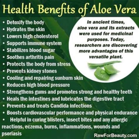 Aloe Vera Vs Coconut Oil Benefits And Uses Which Is Better Bellatory