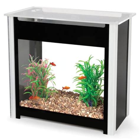 12 Desain Aquarium Minimalis Yang Estetis Dan Anti Makan Tempat