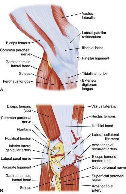 Knee Arthroscopy Setup Diagnosis Portals And Approaches