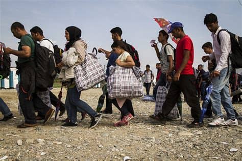 Genero en taxonoma, el gnero es una categora taxonmica que se ubica entre la familia y la especie; Economic Impact of Migration: Benefit or Burden? BY Osiri ...