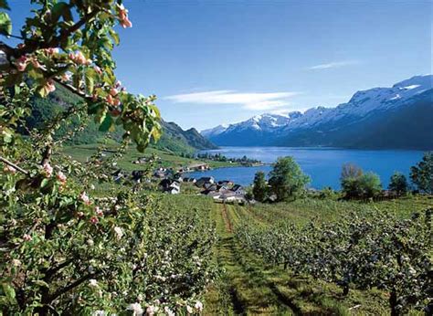 Als golfstrom wird häufig die warme meeresströmung im nordatlantik vom golf von mexiko bis nach nordeuropa bezeichnet, obwohl das nicht ganz korrekt ist. Norwegen-Freunde - Forum • Thema anzeigen - Matkultur