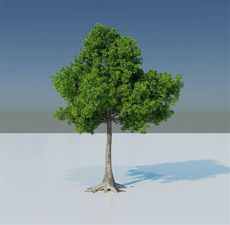 3d Model Tree 3d Model Vr Ar Low Poly Cgtrader