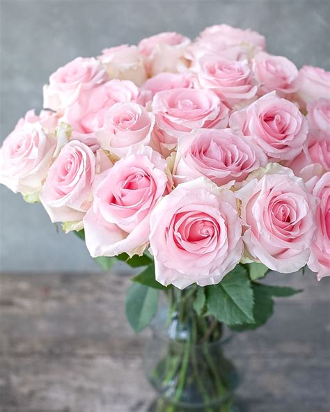 Nena Light Pink Rose Rosas Del Corazón