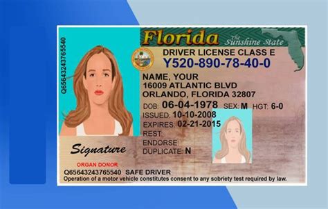 Florida Drivers License Psd Template Download Photoshop File