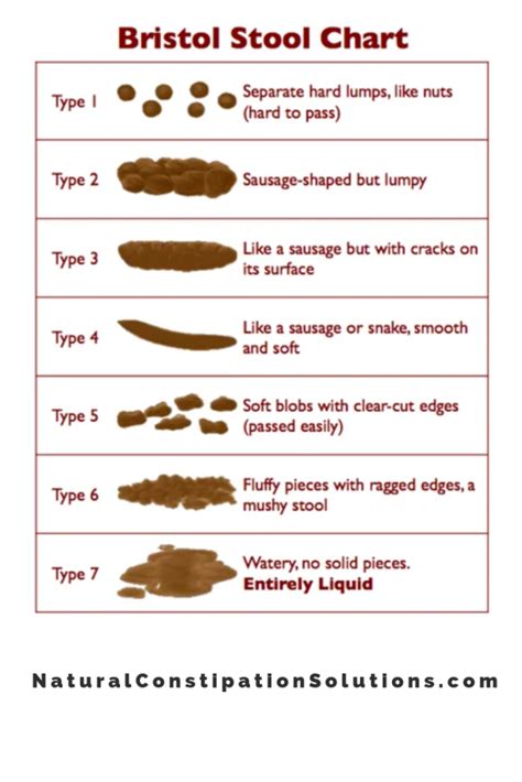 Newborn Bowel Movement Chart Wonder Wifey