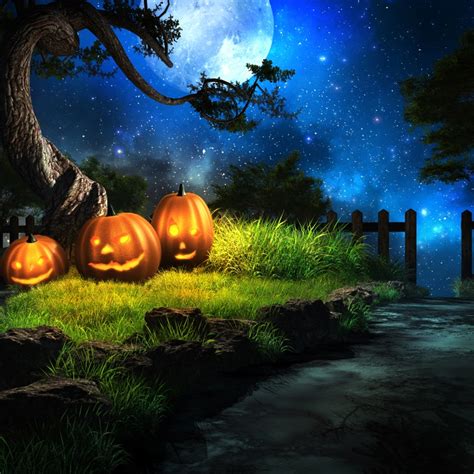 Pumpkin Lantern Photography Backdrops Halloween Background Sale