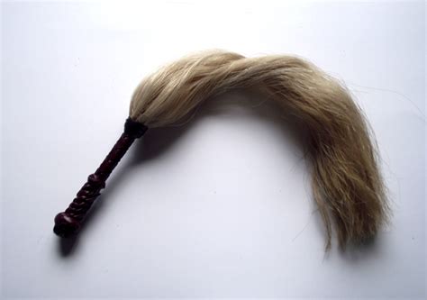Filehorse Hair Sweeper Scurge Wikimedia Commons