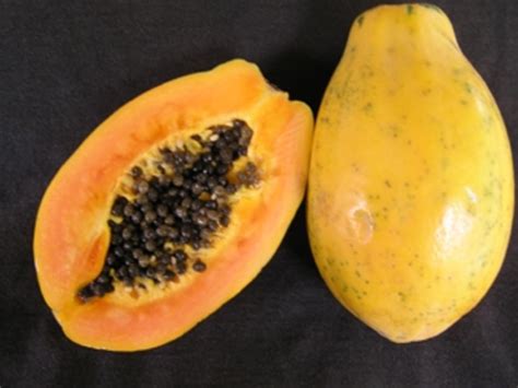 11 Different Types Of Papaya With Images Asian Recipe