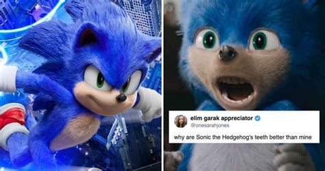 Movie Zone 😲😃😥 10 Hilarious Sonic The Hedgehog Movie Memes Only True