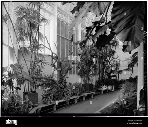Plants And Glass Walls Golden Gate Park Conservatory Golden Gate