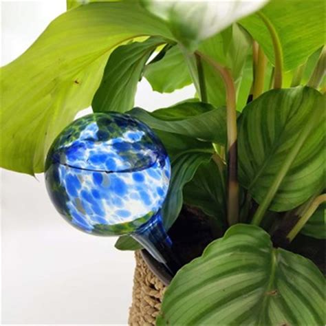 Indoor Plant Watering Globes Self Automatic Watering Bulbs Etsy
