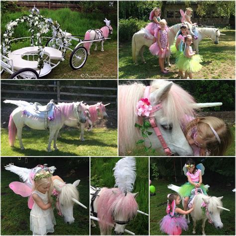 Dreamland Ponies Petting Zoo Party Pony Party Theme Pony Rides