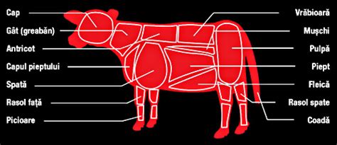 Factori Care Influenteaza Productia De Carne La Taurine Blog De Agricultura