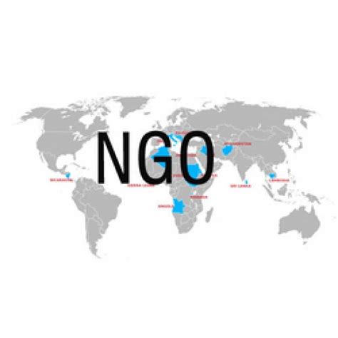 Ngos are a subgroup of organizations founded by citizens. NGO Consultancy - Complete Guide!