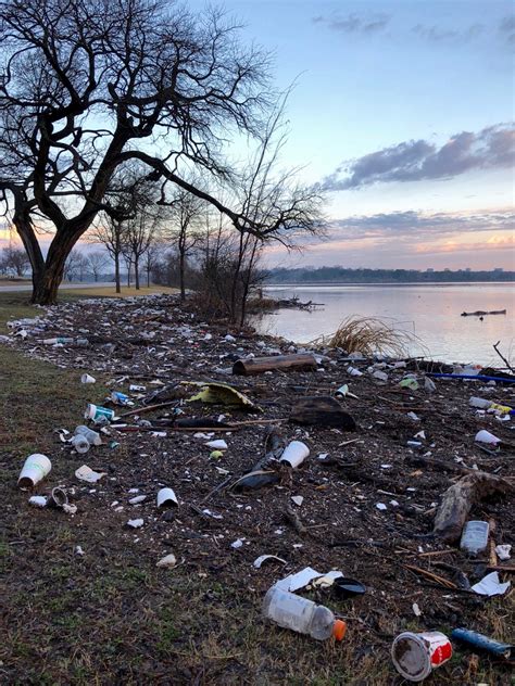 What is white garden rock? There's Nothing Like White Rock After a Big Rain - D Magazine