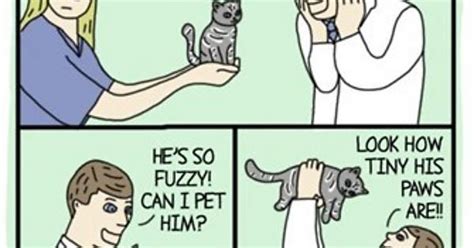 What Would Happen If I Ever Became A Veterinarian Imgur