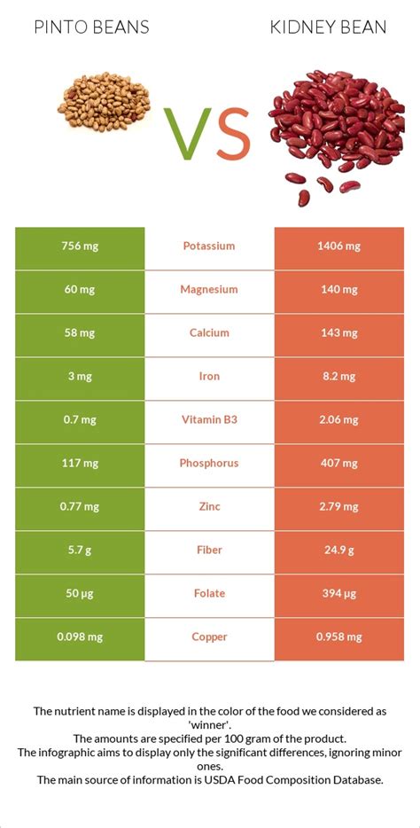 Pinto Beans Vs Kidney Bean — In Depth Nutrition Comparison