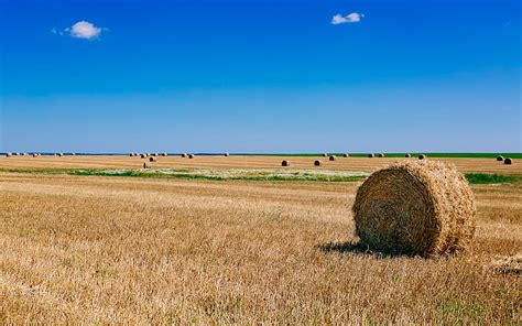 夏の畑、 青、 茶色、 農業、 畑、 干し草、 風景、 自然、 写真、 ロシア、 空、 スーズダリア、 Hdデスクトップの壁紙