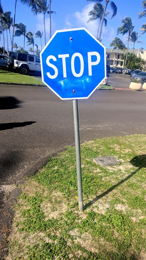 This Blue Stop Sign Rmildlyinteresting