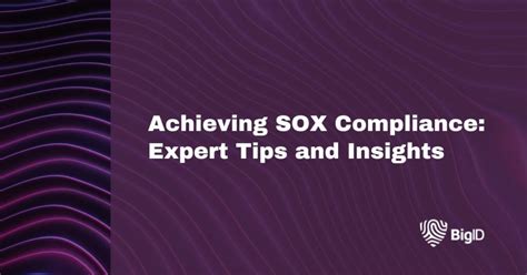 Achieving Sox Compliance Expert Tips And Insights Bigid