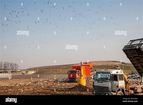 Municipal Waste Landfill Workers With Trucks And Bulldozers At Work In