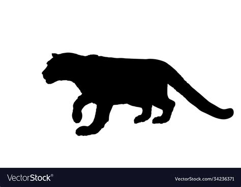 Snow Leopard Silhouette Royalty Free Vector Image