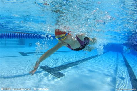 游泳摄影图体育运动文化艺术摄影图库昵图网