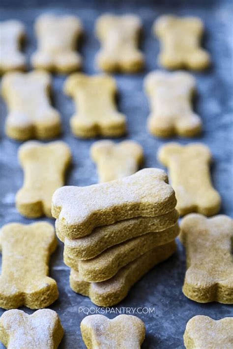 Healthy Homemade 4 Ingredient Banana Pumpkin Dog Treats