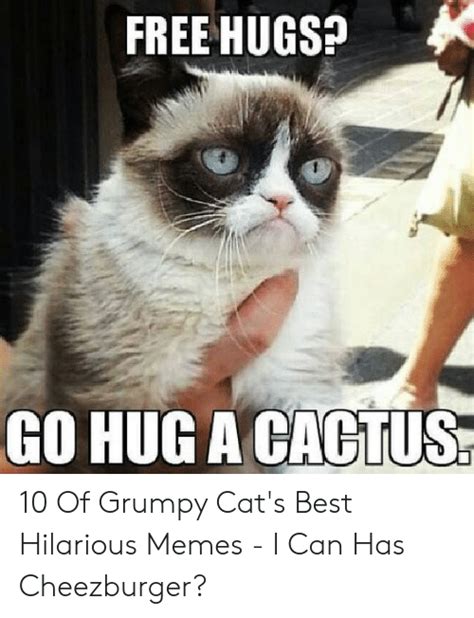 🦅 25 Best Memes About Grumpy Meme Grumpy Memes