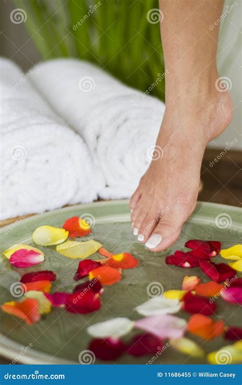 Relaxing Aromatherapy Spa For Feet 1 Stock Image Image Of Female Therapy 11686455
