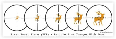 Rifle Scope Reticles Explained Choosing The Right One For Your Scope