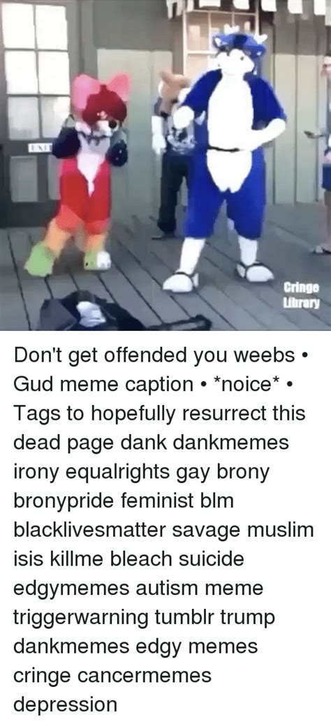 Cringe Library Dont Get Offended You Weebs Gud Meme Caption Noice