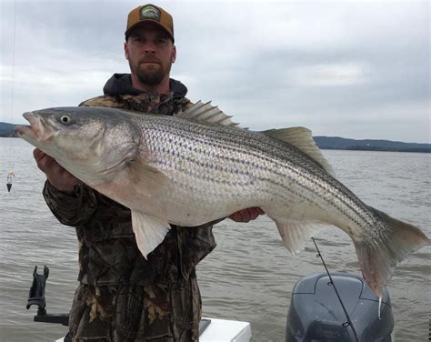 Hudson River Angler Lands Huge Striped Bass ‘its A Day Ill Never