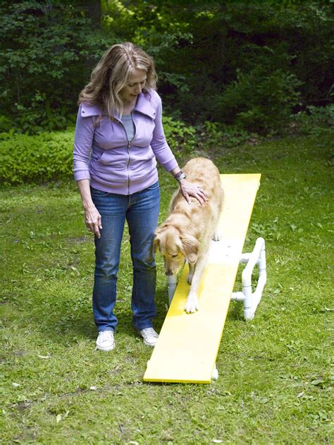 How to Build a DIY Dog Agility Course | Dog agility course diy, Dog agility course, Diy dog stuff