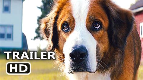 You've oftentimes, sequels tend not to be as good as the original. A DOG'S JOURNEY Official Trailer (2019) A Dog's Purpose 2 ...