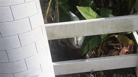 Vinyl is a great siding material because it lasts a long time and requires very little maintenance. Easy vinyl siding and vinyl fence cleaning with bleach ...
