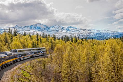 Best Time For Summer Railroad Trip In Alaska 2024 Best Season
