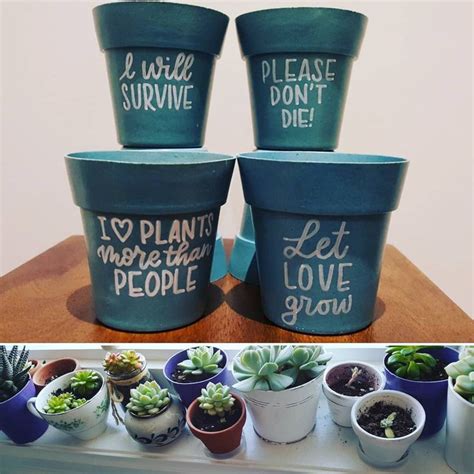 Plant Pots With Sayings Arent These Little 3 Plant Pots Cute They