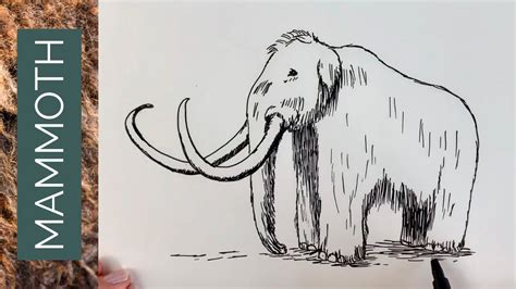 How To Draw A Woolly Mammoth Youtube