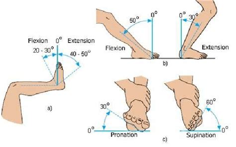 Foot Inversion Range Of Motion