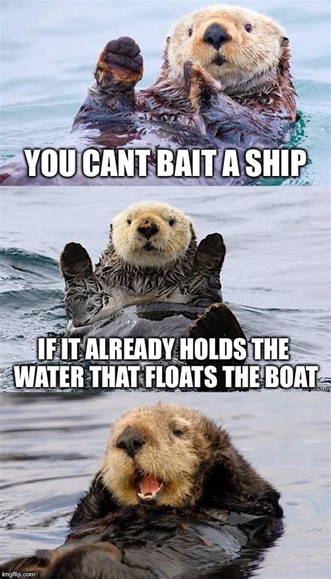 Funny Sea Otter Memes