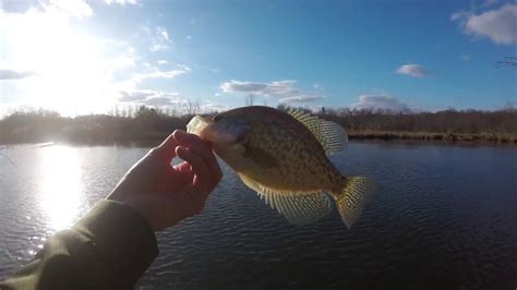 Cold Winter Crappie Fishing Youtube